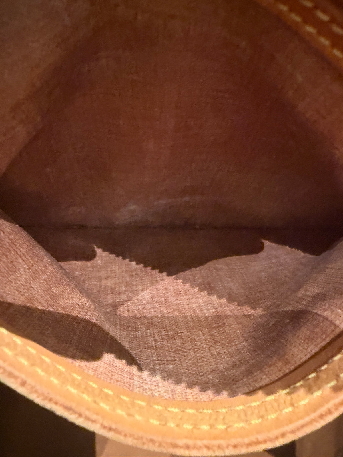 Louis Vuitton speedy 35