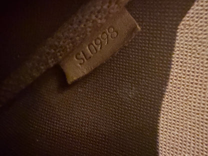 Louis Vuitton pochette accessories