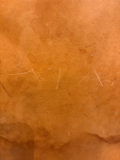 Louis Vuitton Noé pétite