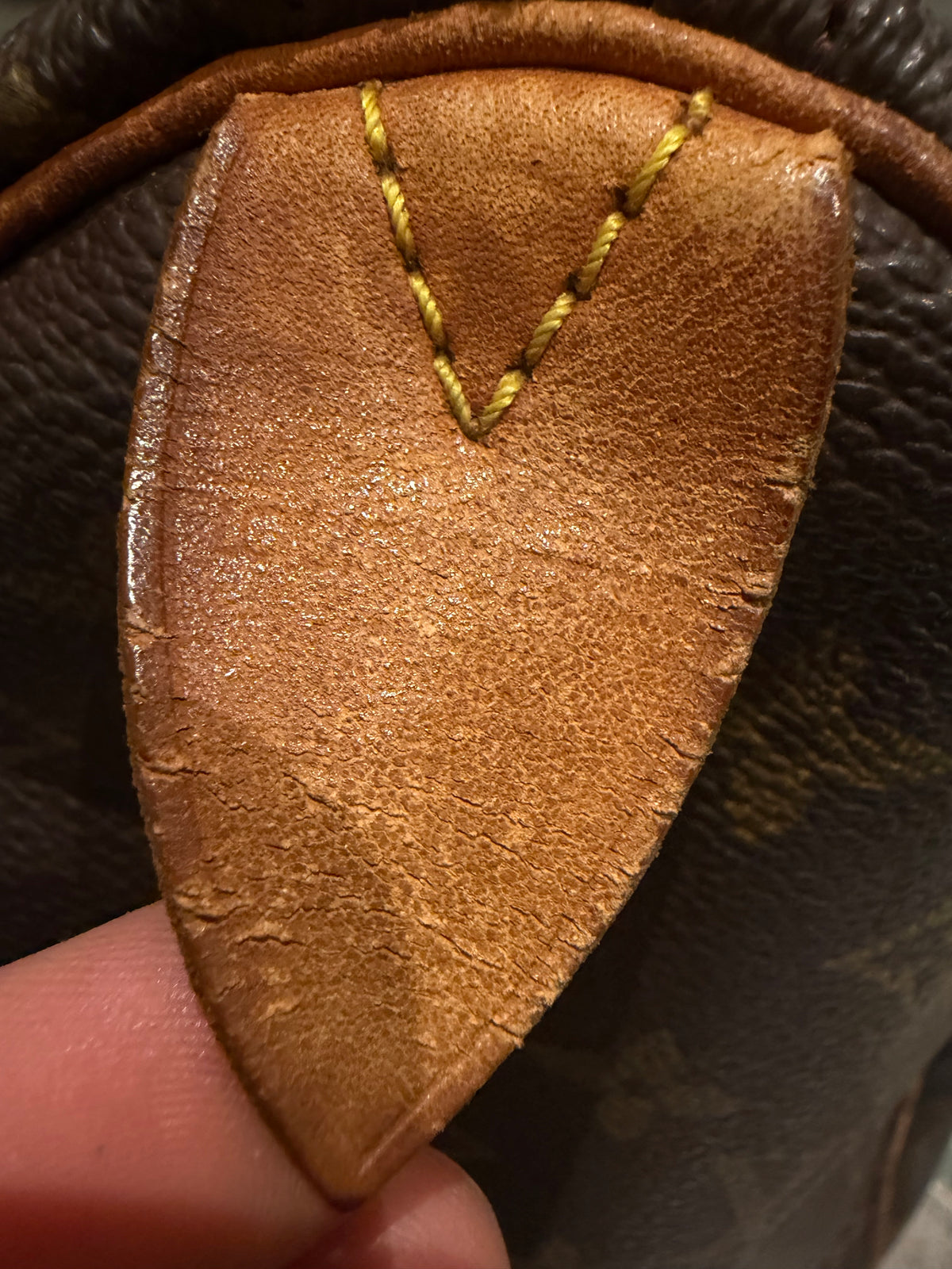 Louis Vuitton speedy 35