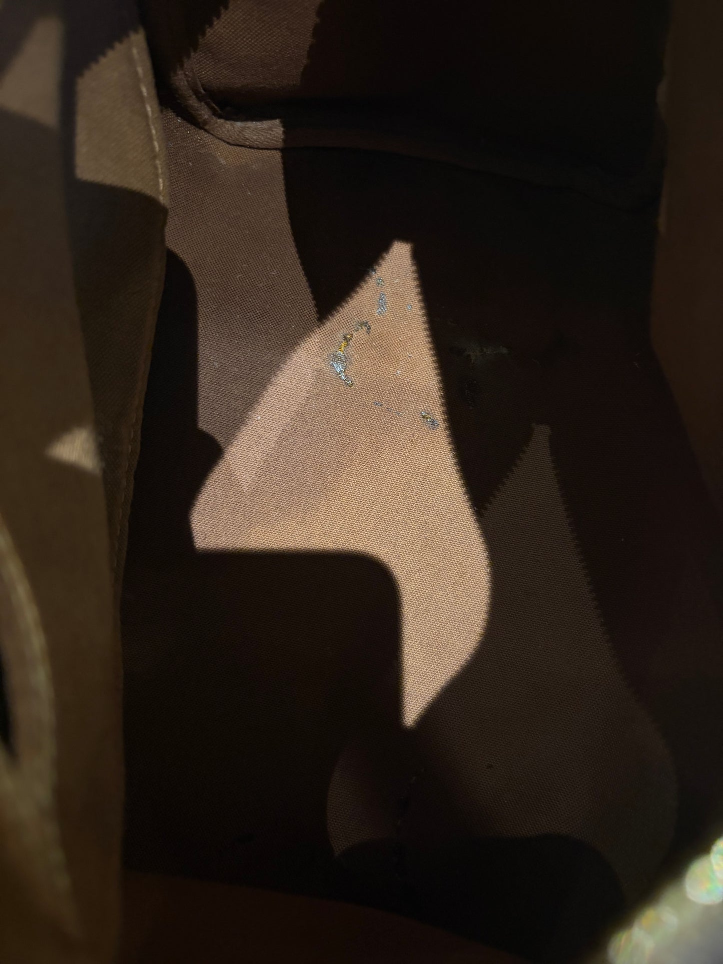 Louis Vuitton speedy 25
