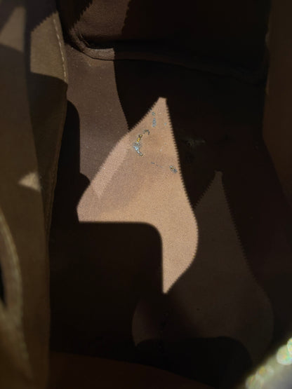 Louis Vuitton speedy 25